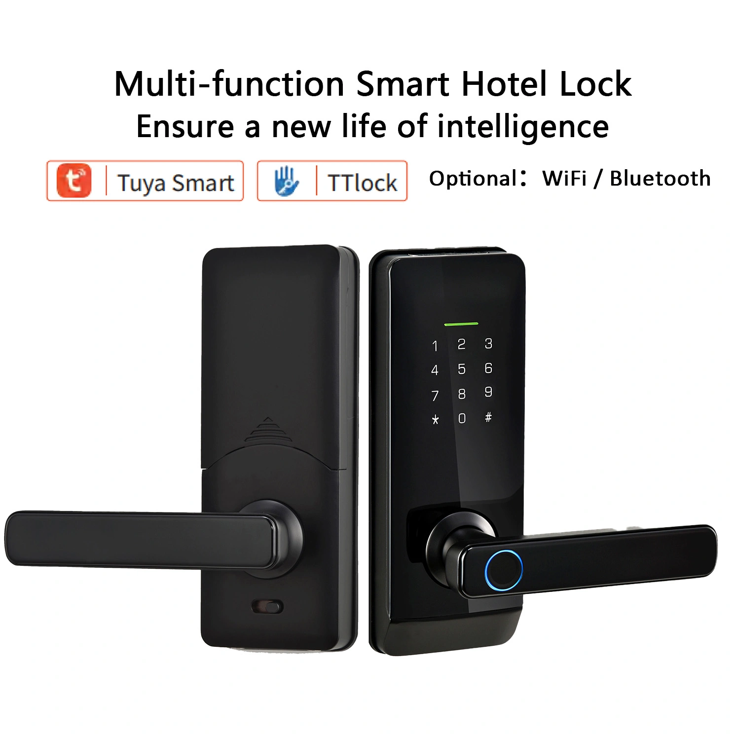 网站-第一张 拷贝