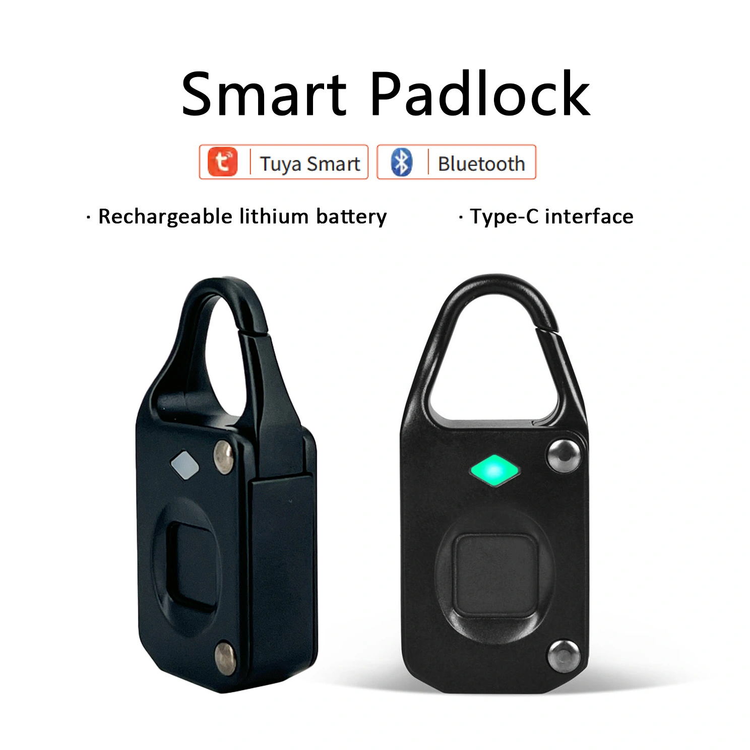 网站-第一张 拷贝