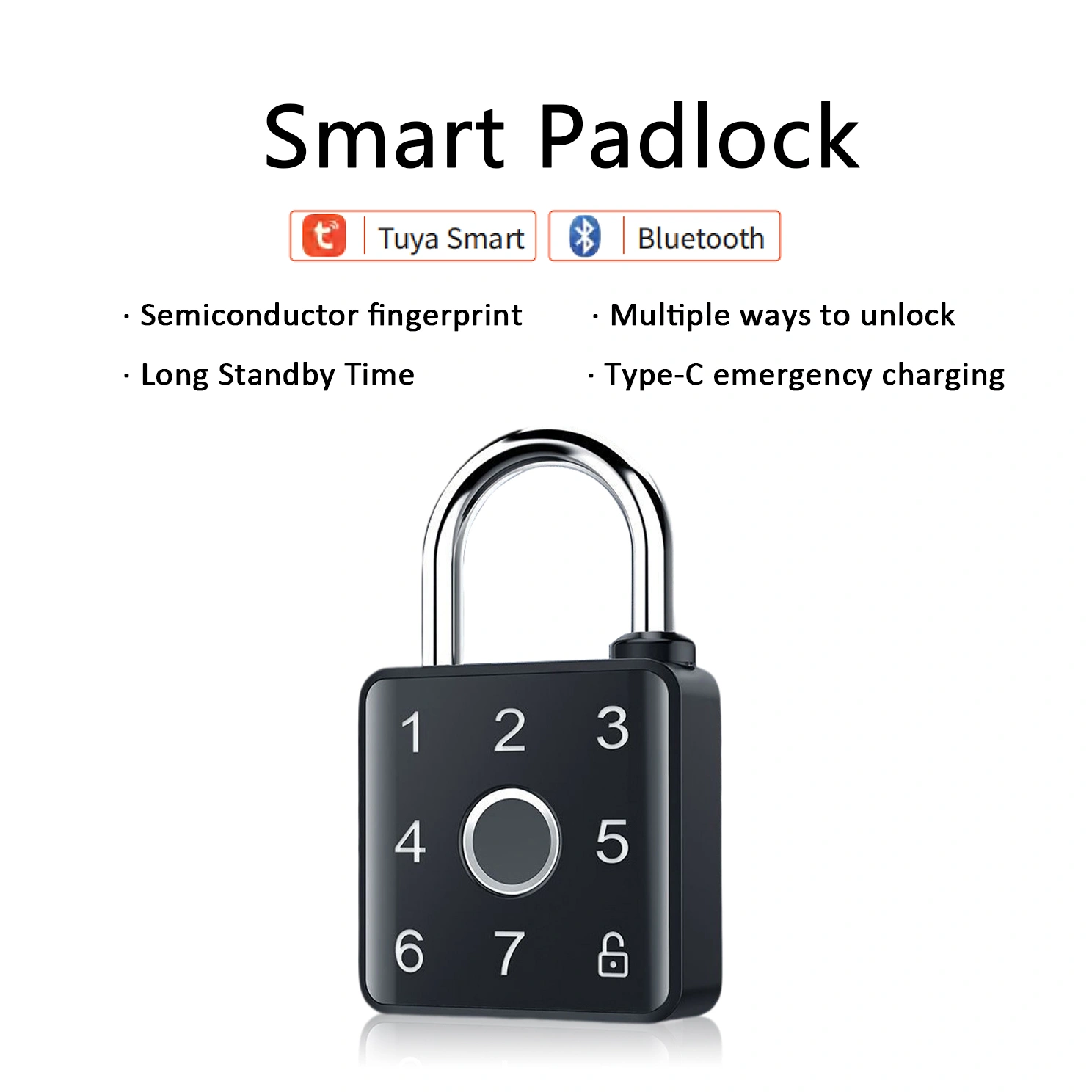 网站-第一张 拷贝