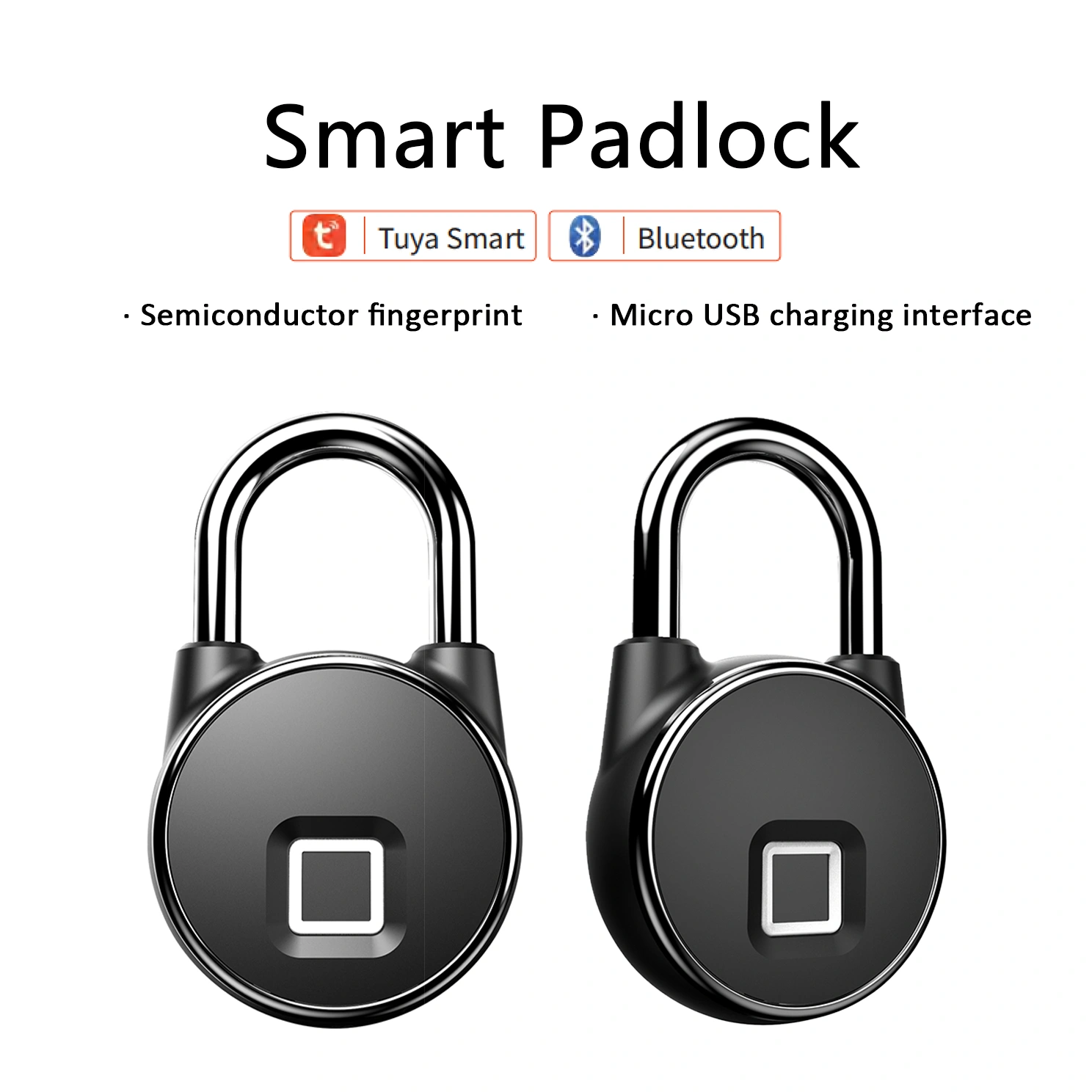 网站-第一张 拷贝