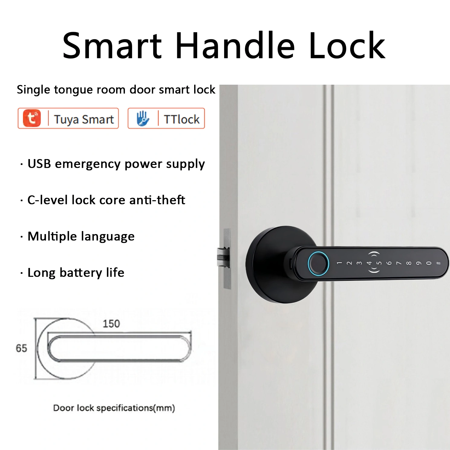 网站-第一张 拷贝