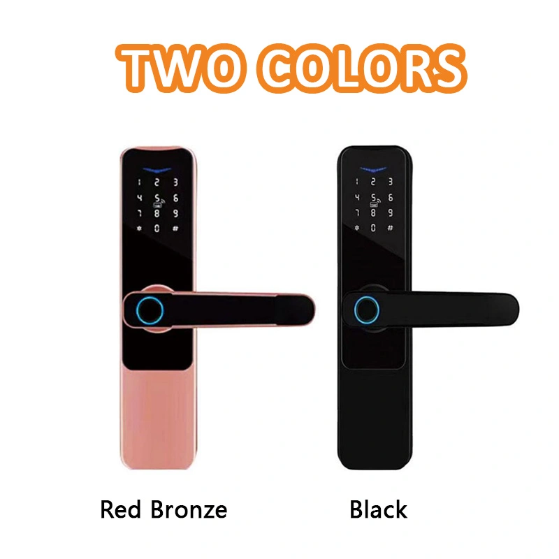 网站-颜色 拷贝