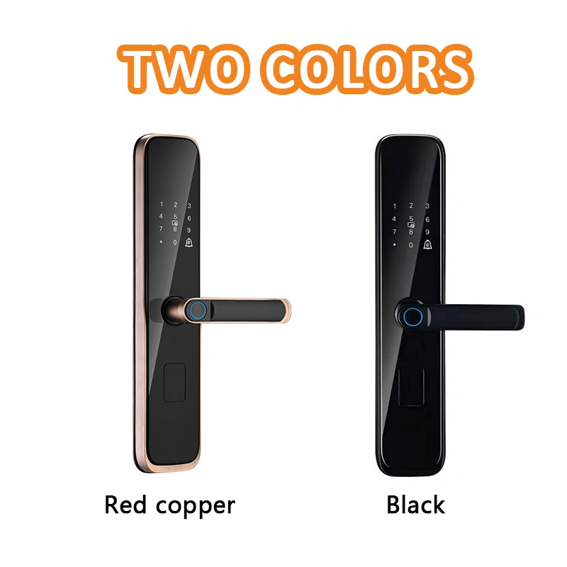 网站-颜色 拷贝