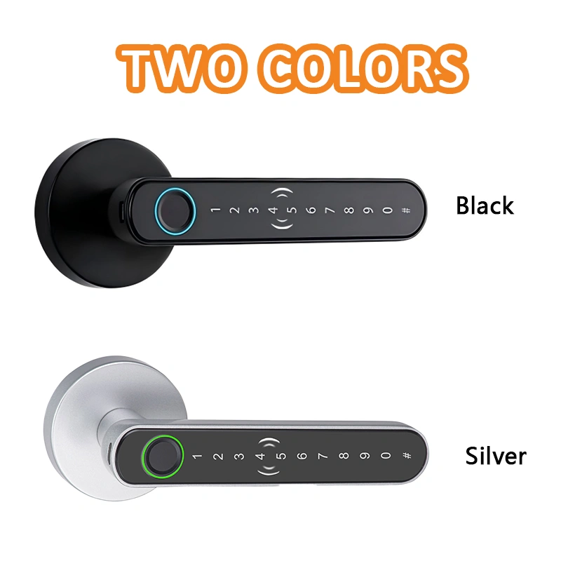 网站-颜色 拷贝