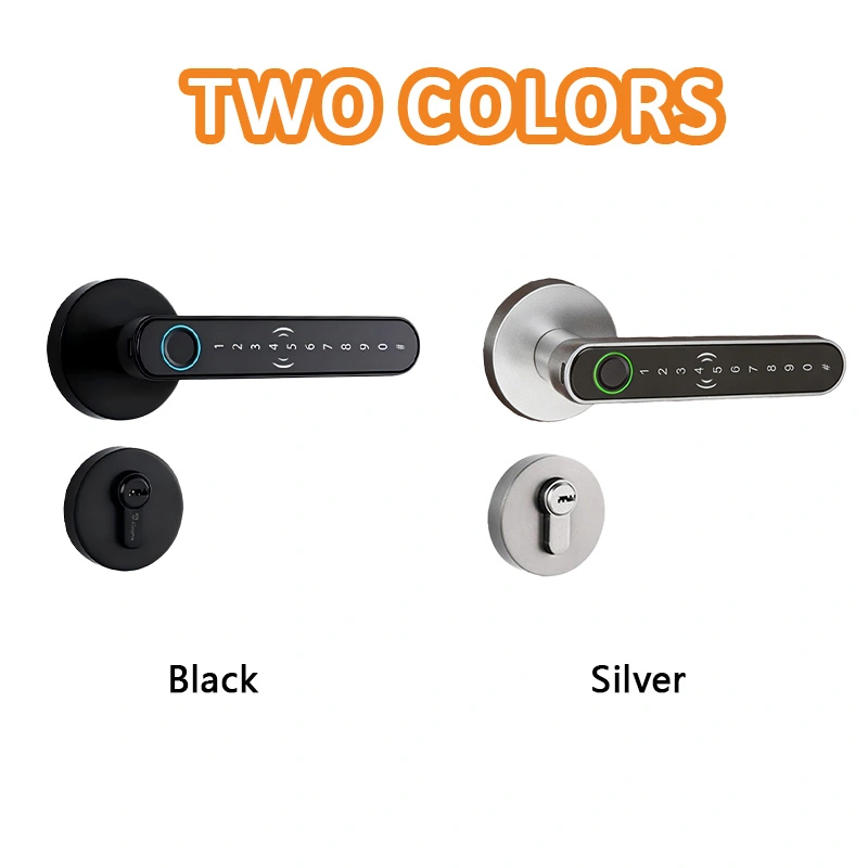 网站-颜色 拷贝