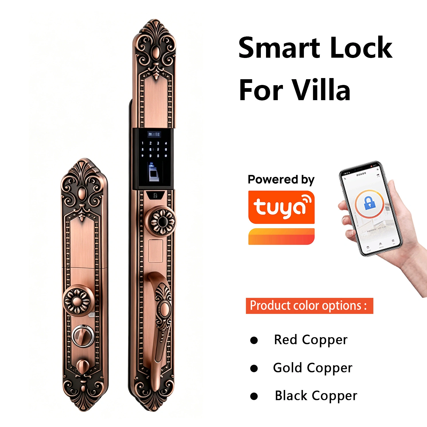 网站-第一张 拷贝