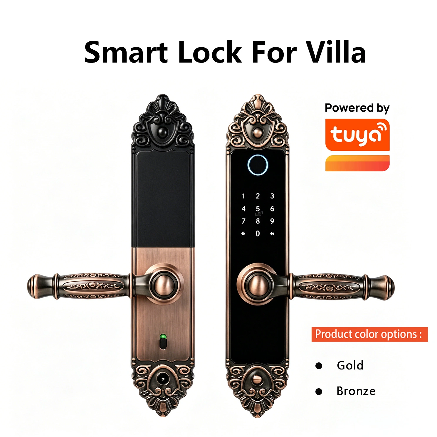 网站-第一张 拷贝