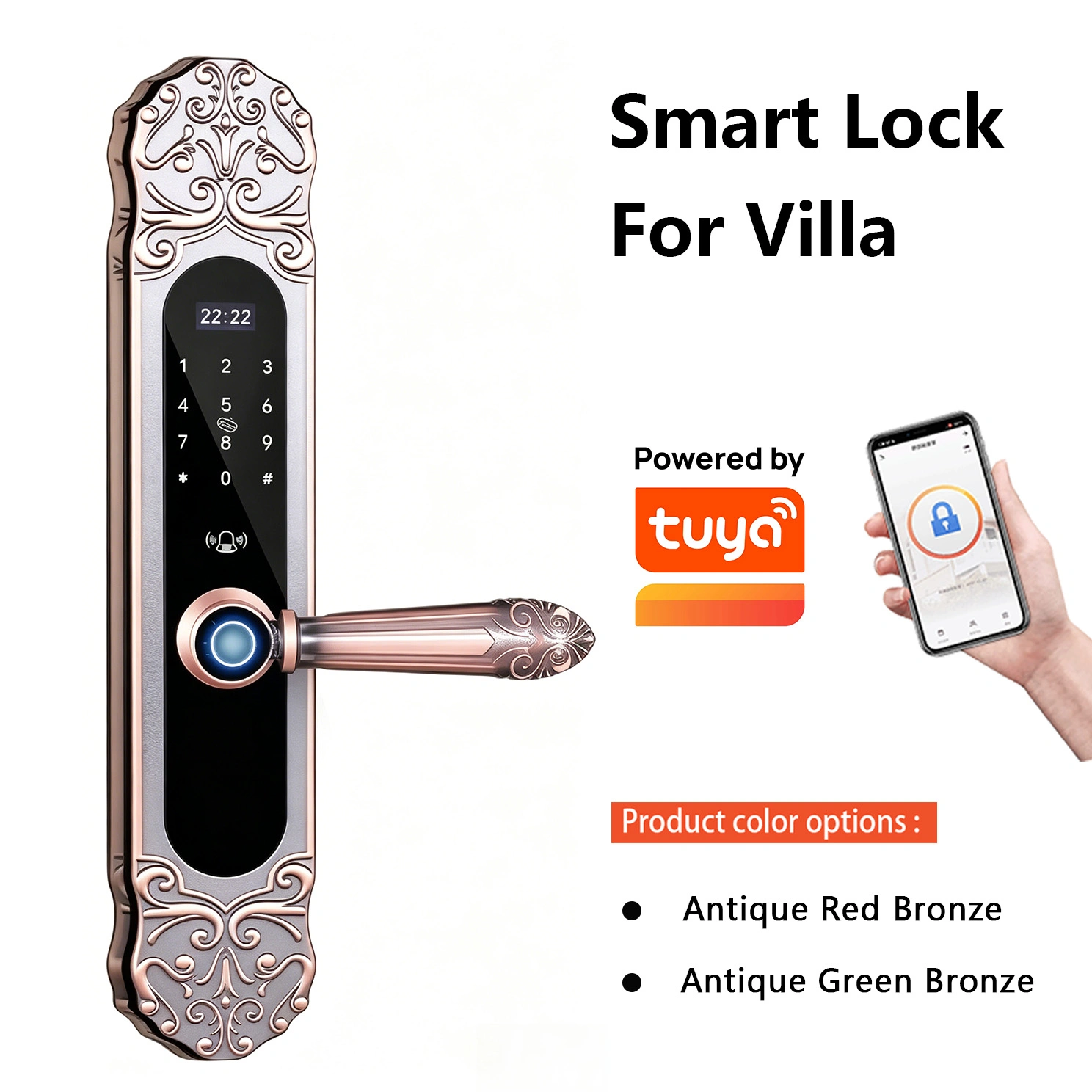 网站-第一张 拷贝