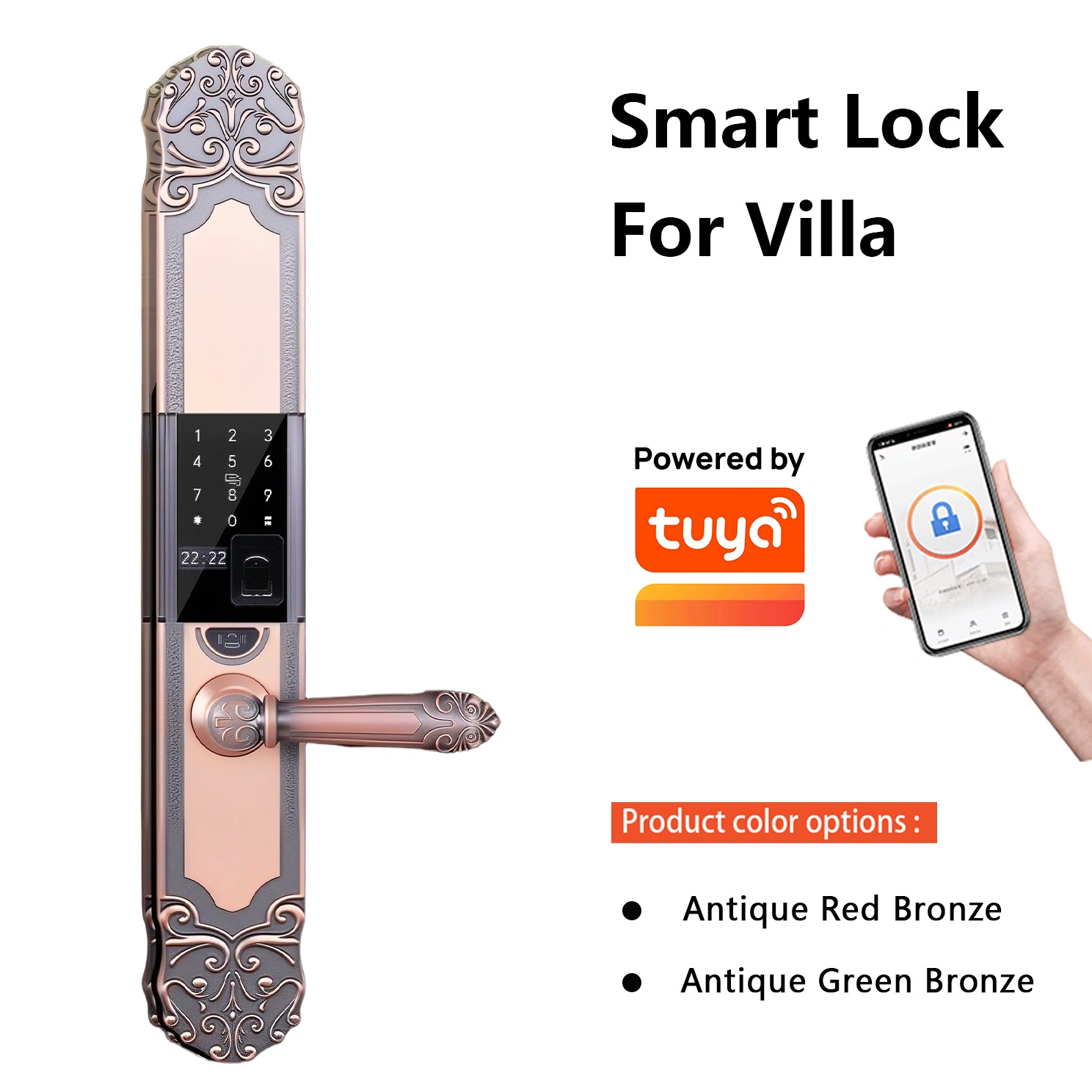 网站-第一张 拷贝